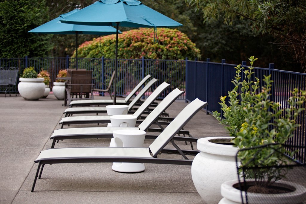 Clermont Poolside Lounge Chairs