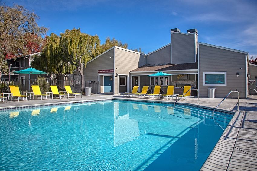 The Alexandar Pool with Lounge Chairs The Alexandar Pool with Lounge Chairs