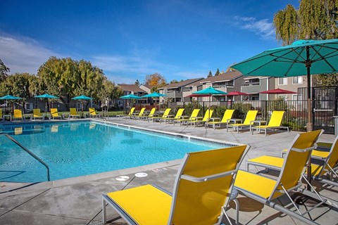 The Alexandar Pool with Lounge Chairs