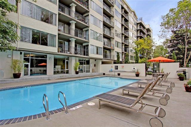 Luxe at Meridian Apartments Pool