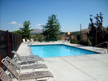 Sparkling Swimming Pool