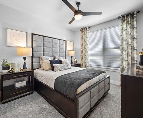 A bedroom with a large bed, a ceiling fan, and a nightstand with a lamp.