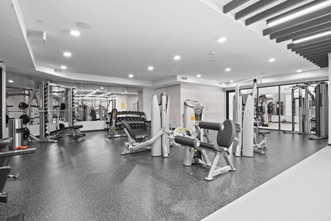 A spacious gym with a variety of equipment.