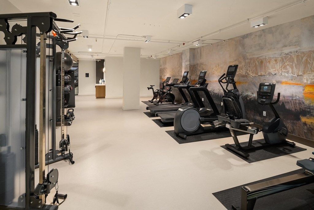 a group of exercise machines in a gym with a mural on the wall