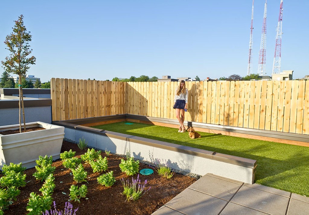 REO Flats Rooftop Dog Run