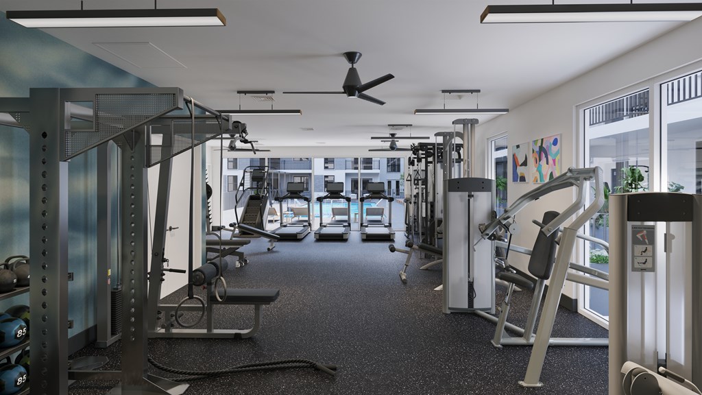 A gym with a variety of equipment including a squat rack, bench, and weights.