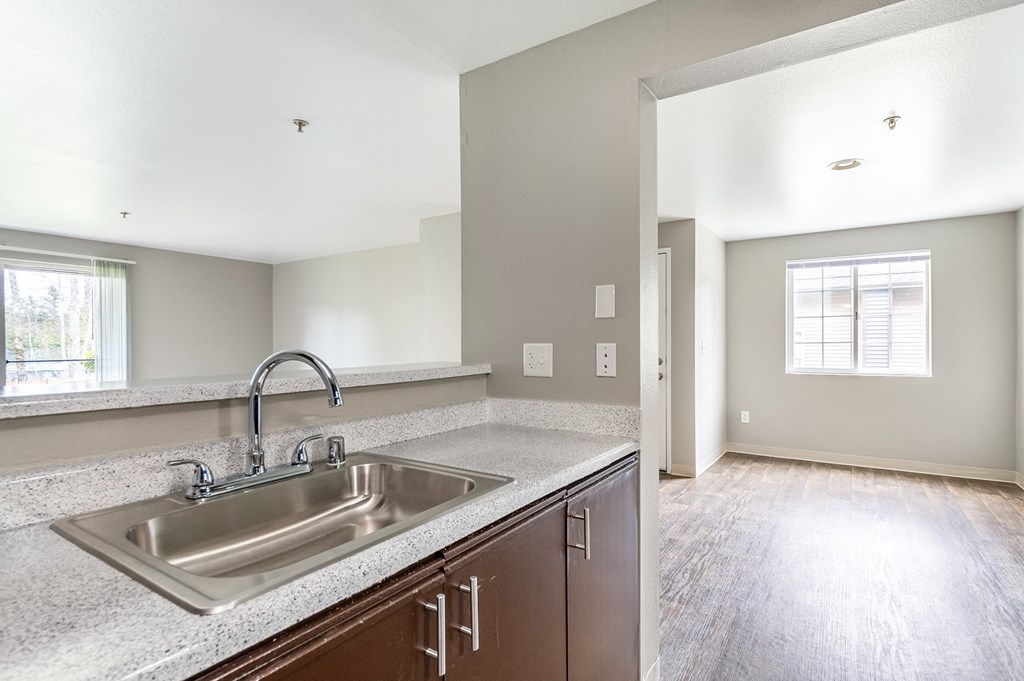 a kitchen with a sink and a window