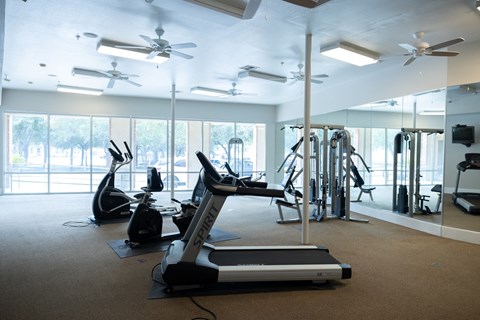 A gym with treadmills, exercise bikes, and mirrors.