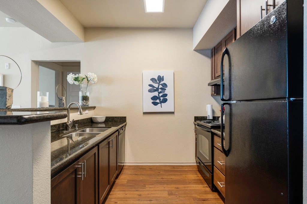 Regency Park Model Kitchen