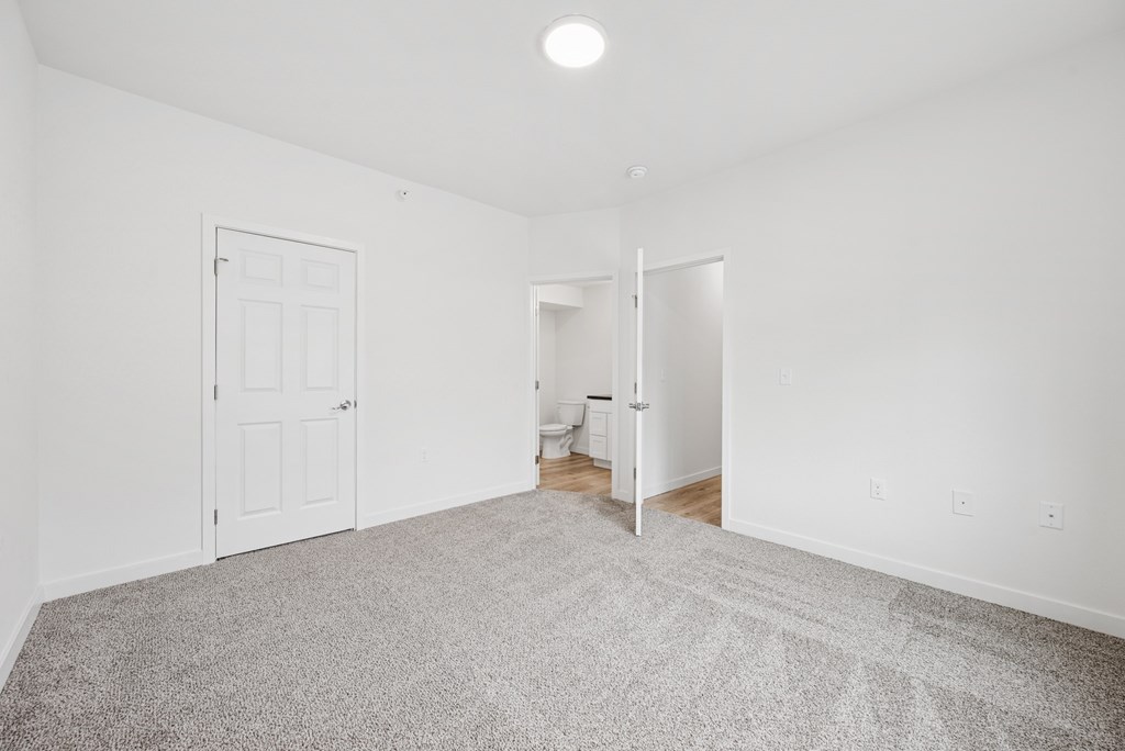 A white room with a carpet and a door.