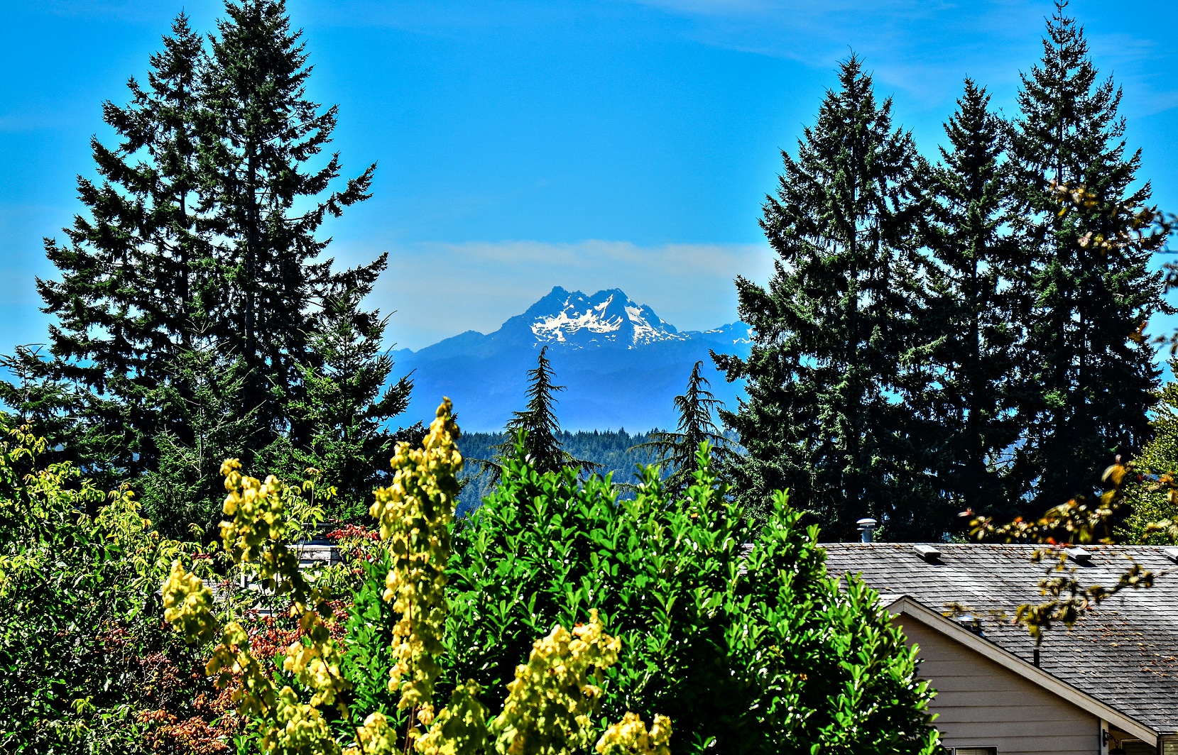 Reserve at Bucklin Hill Apartments_Silverdale WA_Looking at the Washington Mountains