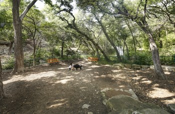 Retreat at Barton Creek Dog Park - Photo Gallery 19