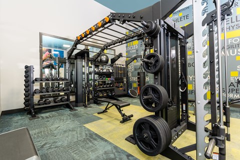 a large gym filled with weights and suspension equipment