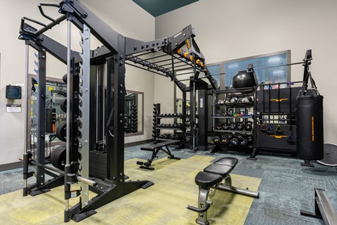 a home gym with weights equipment and a boxing cage