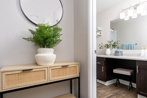 a bathroom with a sink and a mirror and a table with a plant