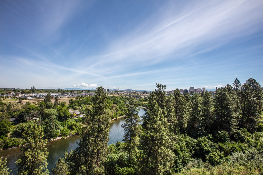 Broadmoor Apartments trees and river