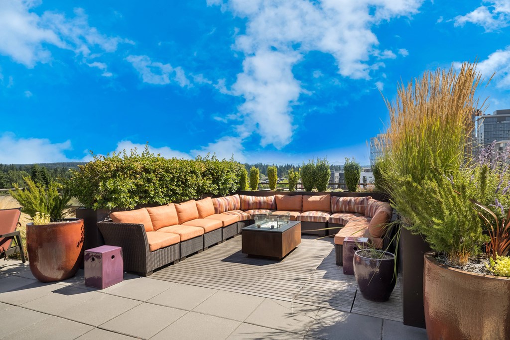 Lux Apartments Rooftop Patio Lux Apartments rooftop patio with couches and tables and potted plants