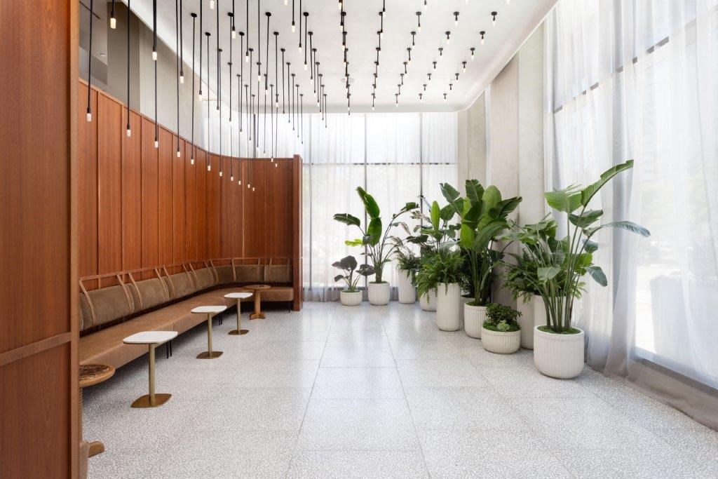 Leasing waiting area with tall plants