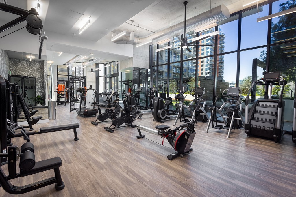 Simone gym with cardio machines and weights on the floor
