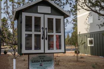 A Little Library sign is on a post in front of a green shed.