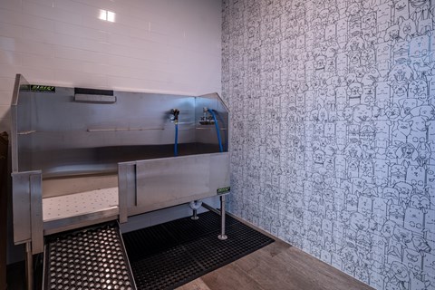 A wall with a lot of drawings on it.