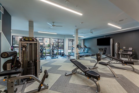 A gym with a variety of equipment including a treadmill, weights, and a bench press.