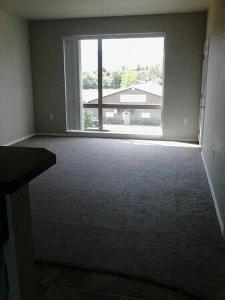 Ashlyn Place Apartments Living Room and Window