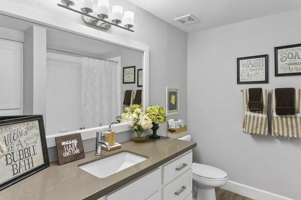 a bathroom with a sink and a mirror and a toilet