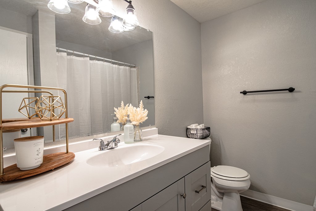 a bathroom with a sink and a toilet and a mirror