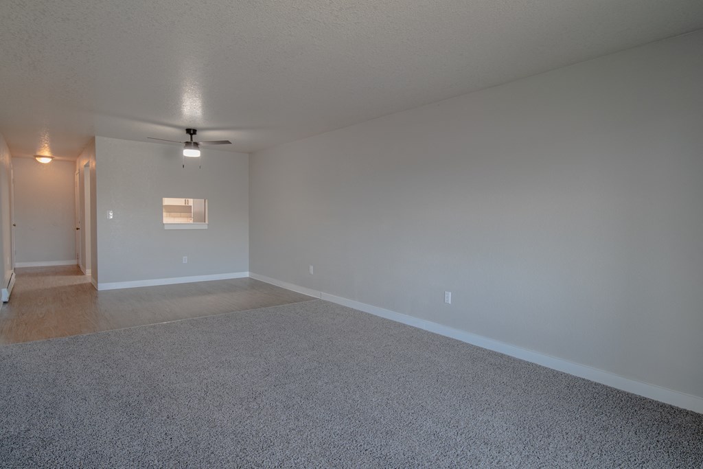 Shannon South Apartments living room