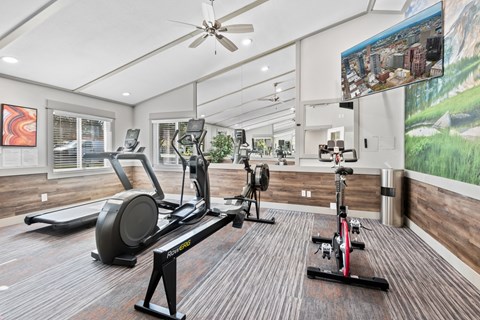 A home gym with a treadmill, elliptical trainer, and stationary bike.