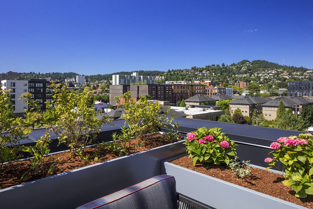 Slabtown Flats Rooftop Garden