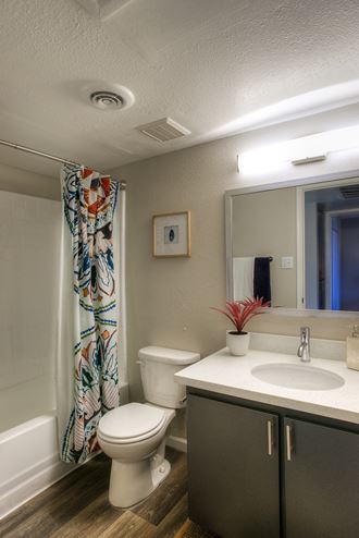 a bathroom with a toilet sink mirror and shower