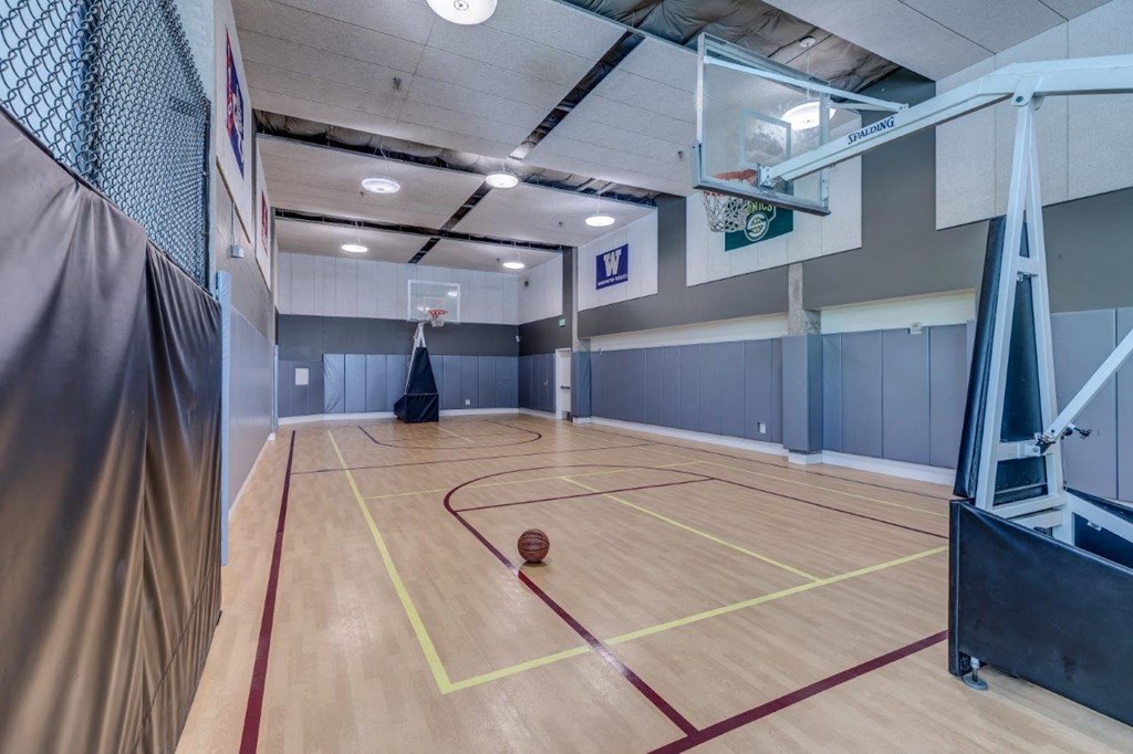 a basketball court in the basement of a home