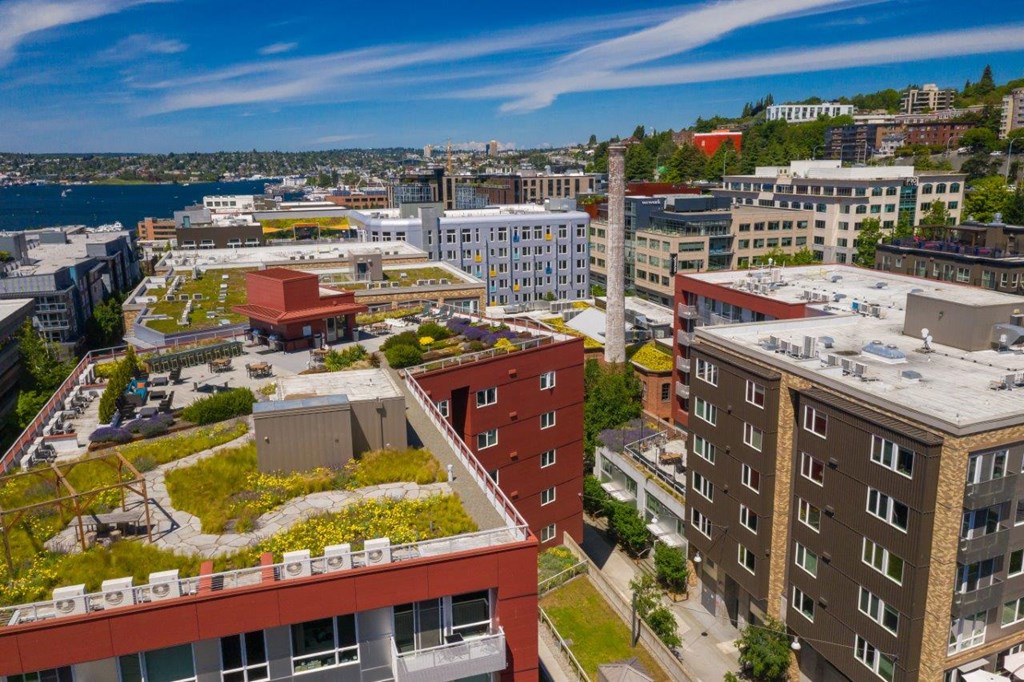 a green roof on a building in a city