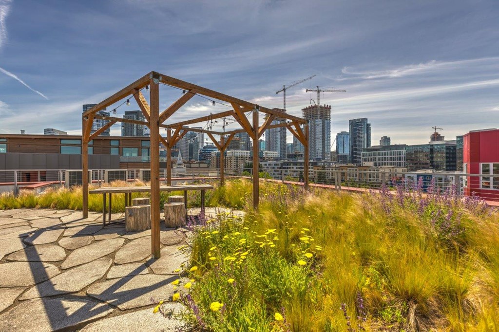 a picnic area with a view of the city