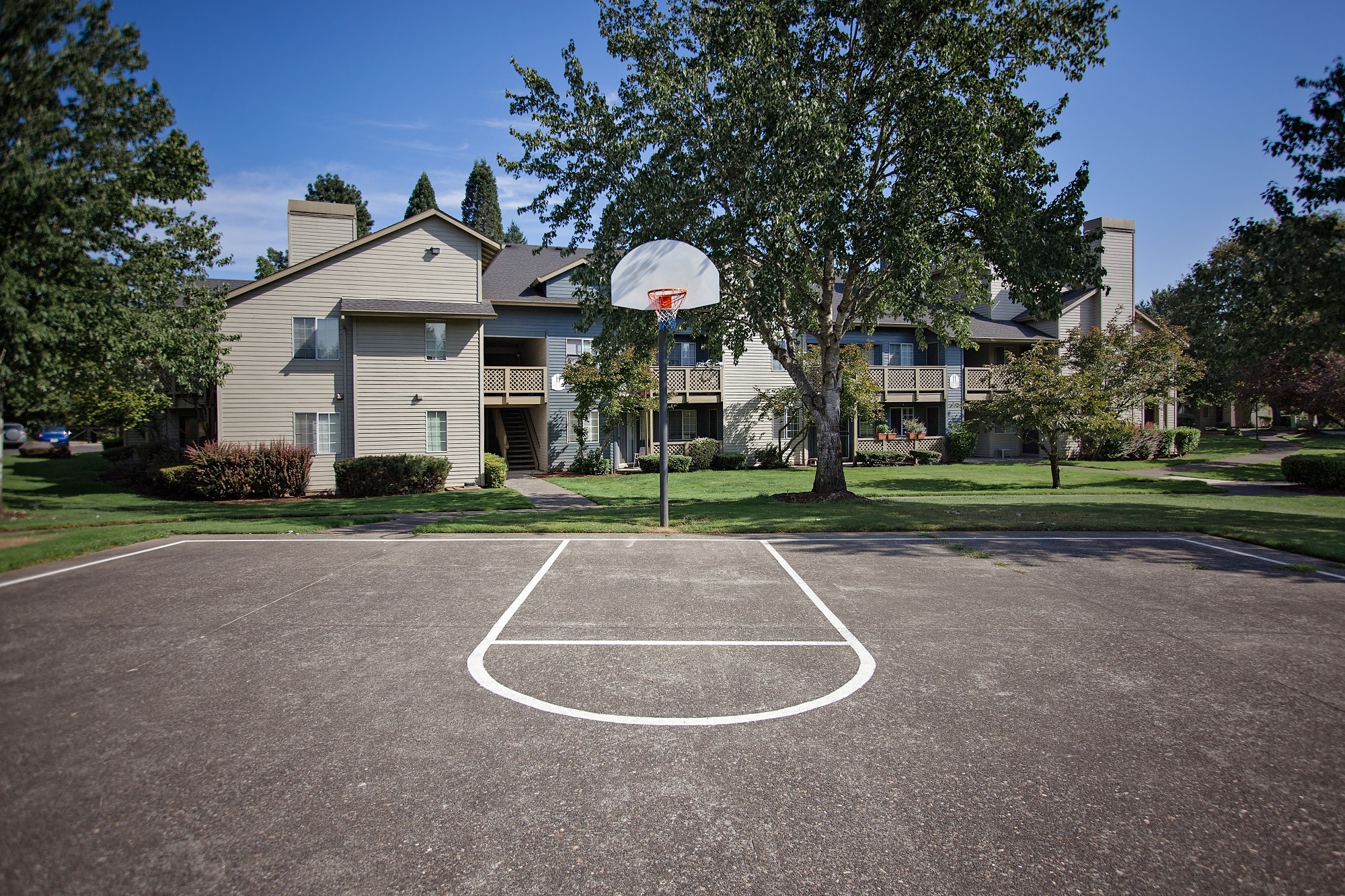 A basketball court is in the middle of a grassy area with apartment buildings in the background.