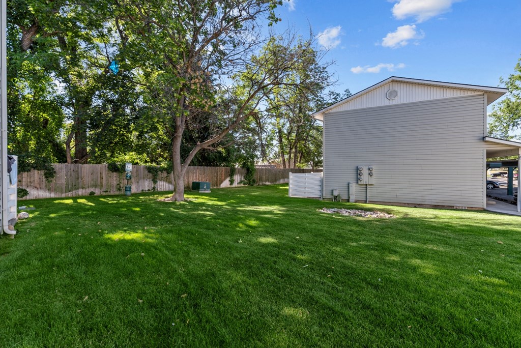 a backyard with a white house and a tree