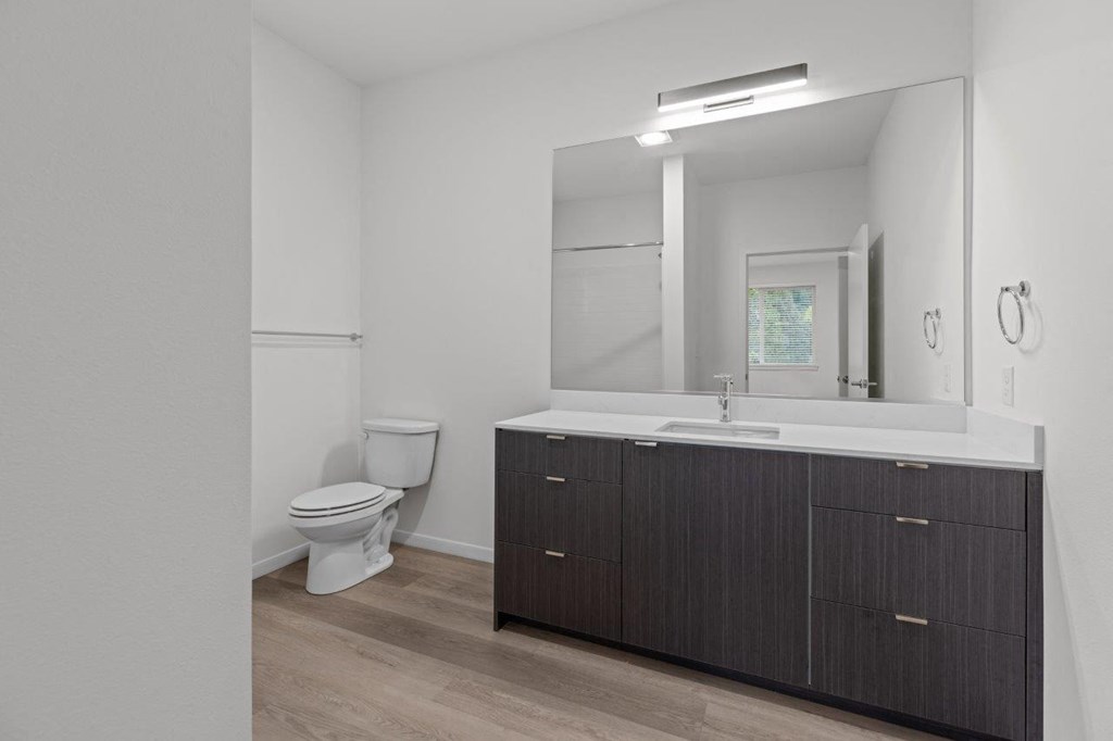 Sumner Mill Bathroom