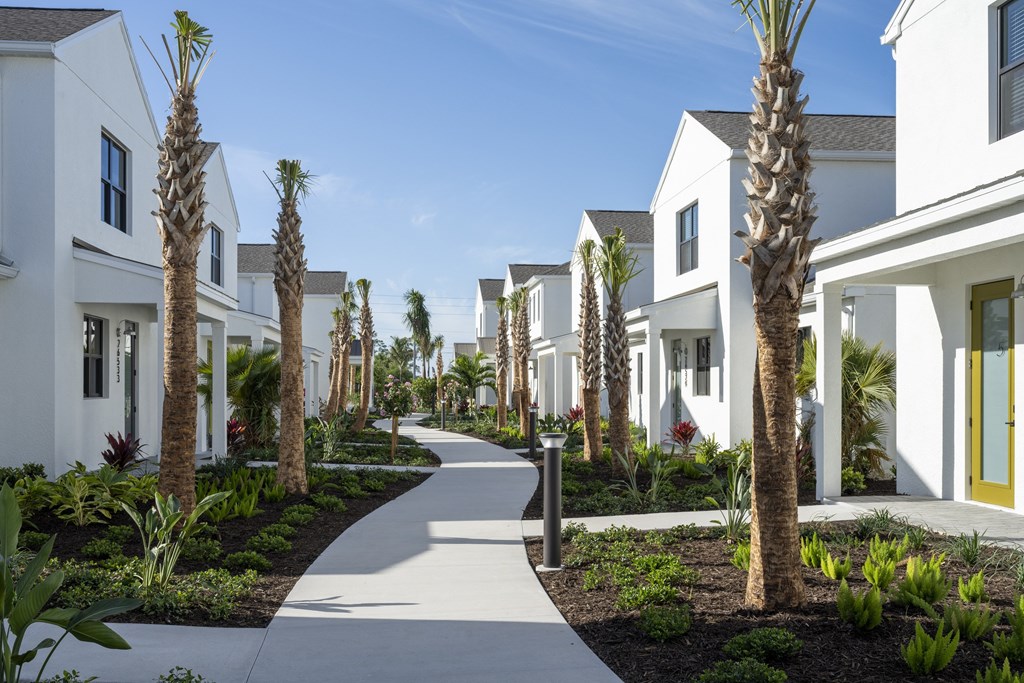 A row of white houses with palm trees in front.