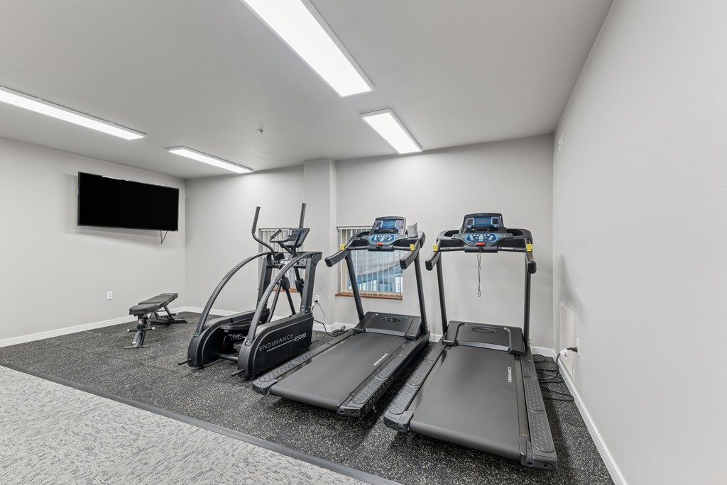 A gym with treadmills, elliptical machines, and a bench.