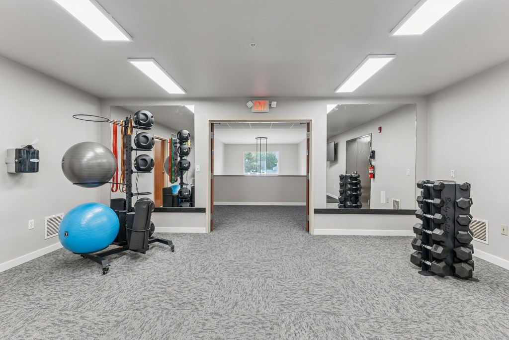 A room with a blue exercise ball and a rack of dumbbells.