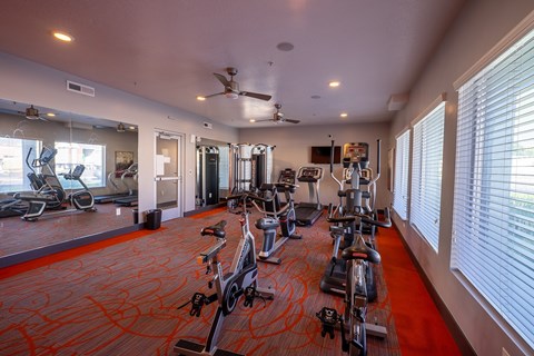 A gym with a row of stationary bikes.
