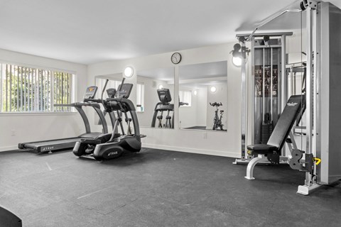 A gym with treadmills, weights, and a clock on the wall.