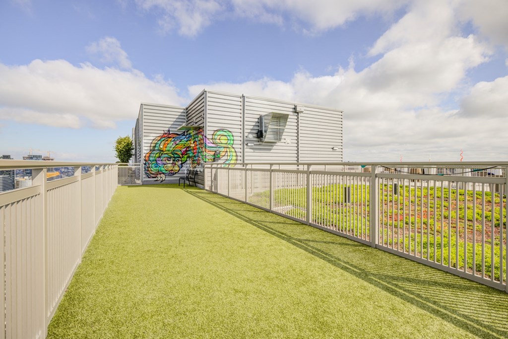 The Danforth Apartments Rooftop Dog Run