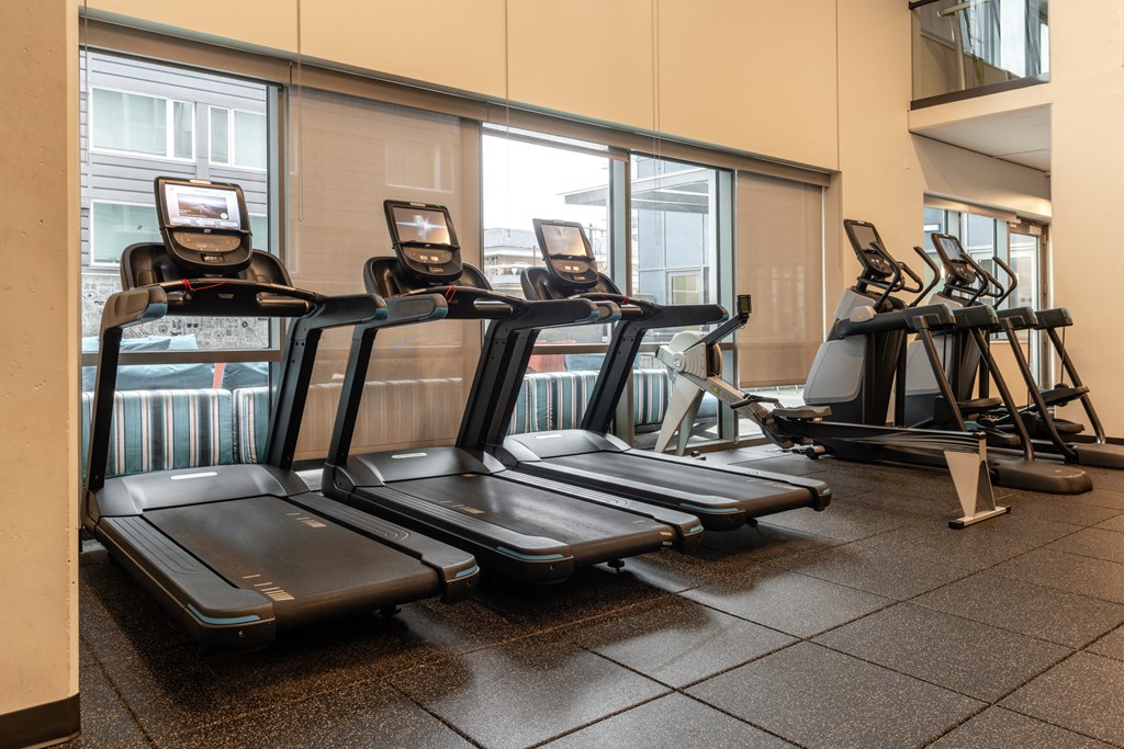 a row of cardio exercise equipment in a gym