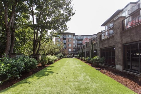 a grassy courtyard with trees and buildings