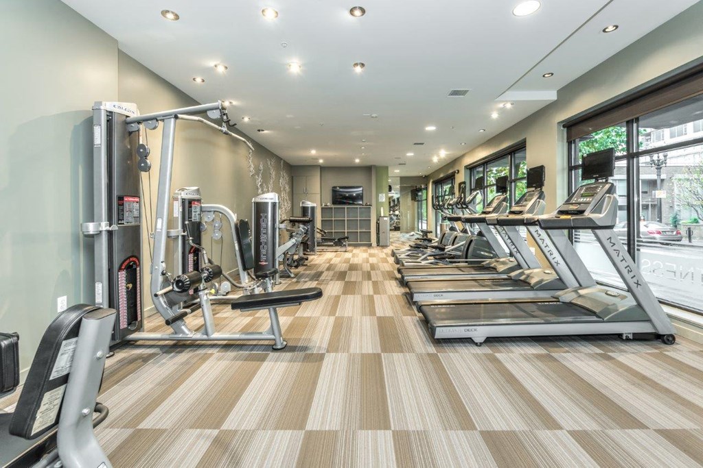 the gym is equipped with cardio equipment and weights