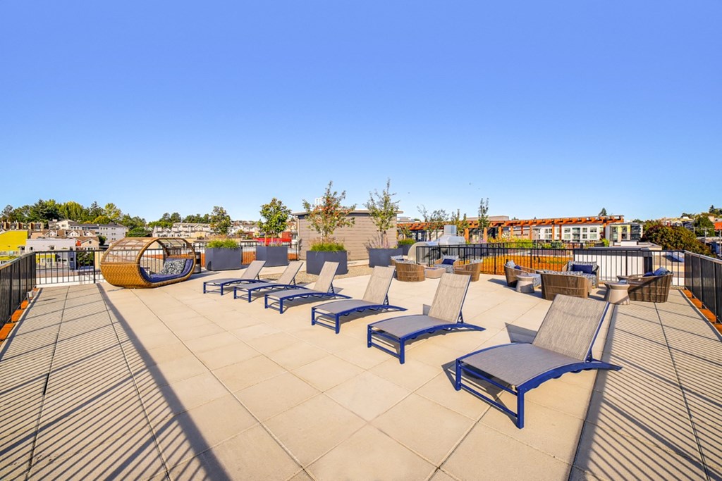 a row of lounge chairs on a roof top patio