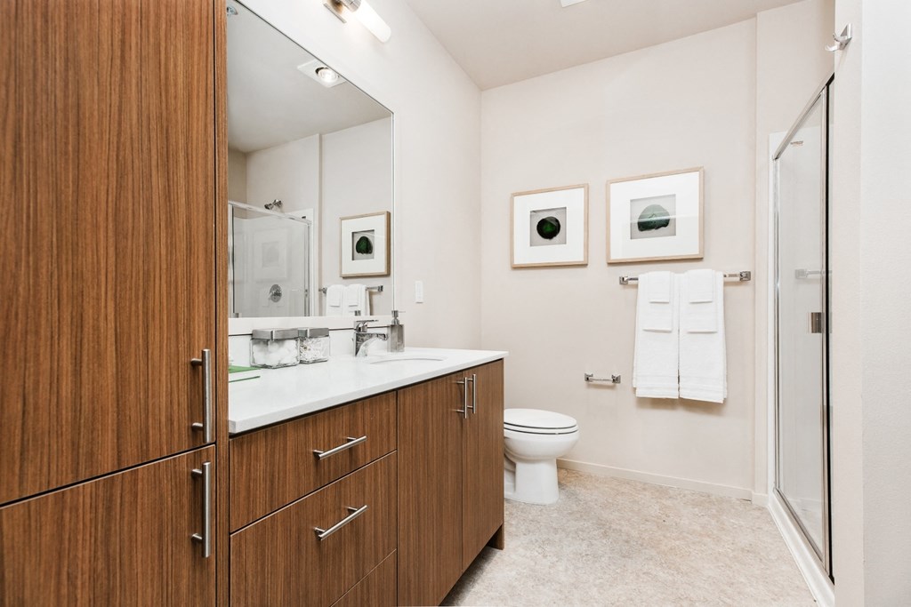 a bathroom with a toilet and a vanity with a large mirror